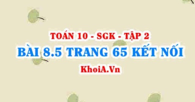 Bài 8.5 trang 65 Toán 10 Kết nối tri thức Tập 2